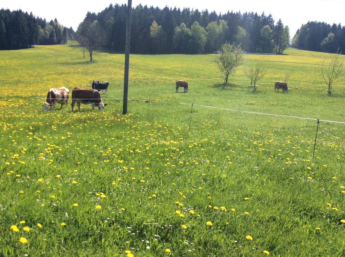 Ferienbauernhof Koller Vila Helfenberg Exterior foto