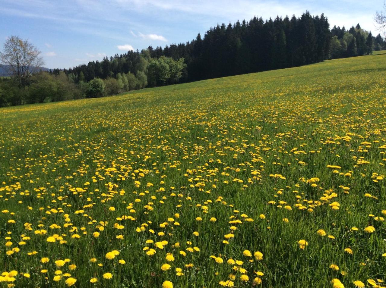 Ferienbauernhof Koller Vila Helfenberg Exterior foto