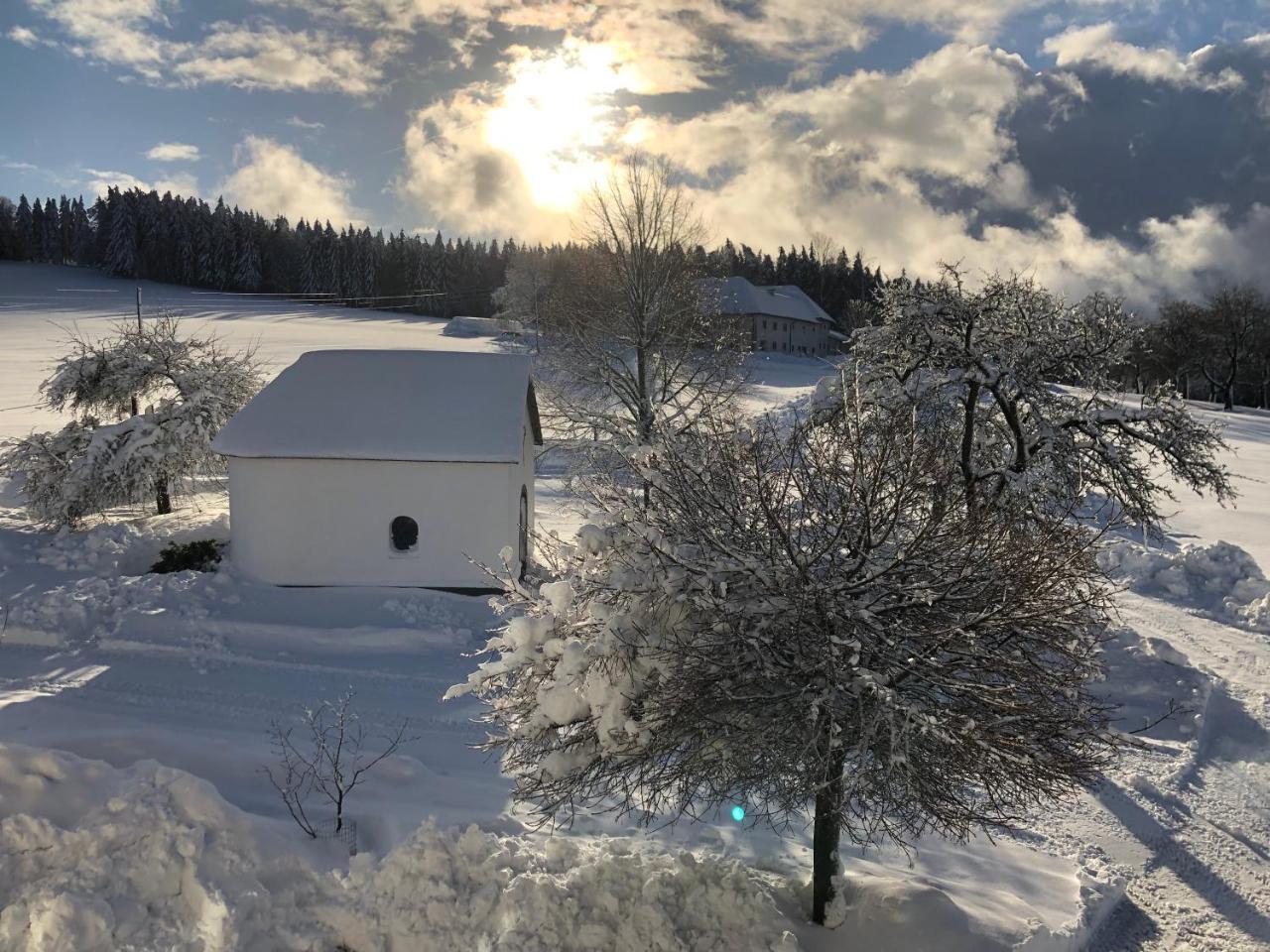Ferienbauernhof Koller Vila Helfenberg Exterior foto